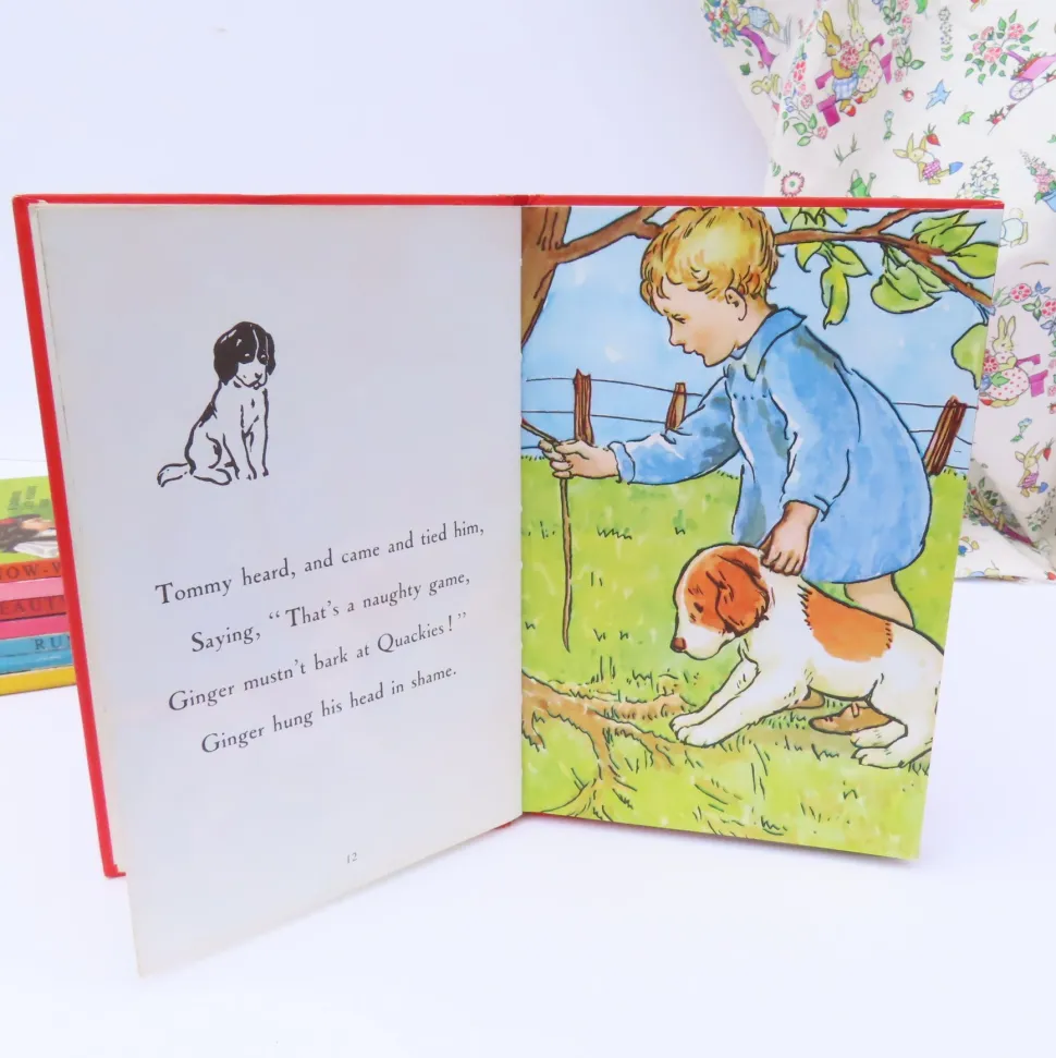 VINTAGE Ladybird book - Ginger's Adventures (mid 1960s)