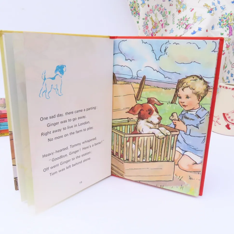 VINTAGE Ladybird book - Ginger's Adventures (1974)