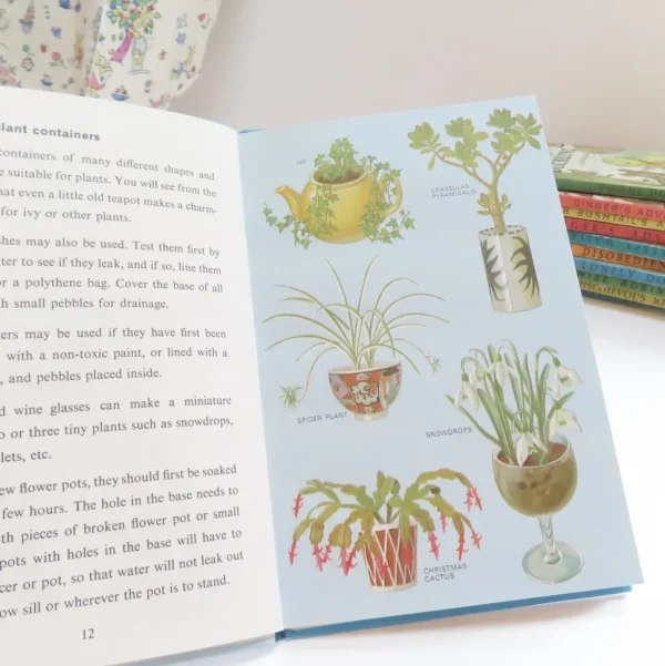 VINTAGE Ladybird book - Indoor Gardening (c.1971)