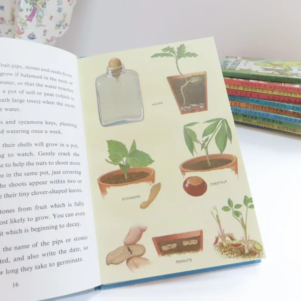 VINTAGE Ladybird book - Indoor Gardening (c.1971)
