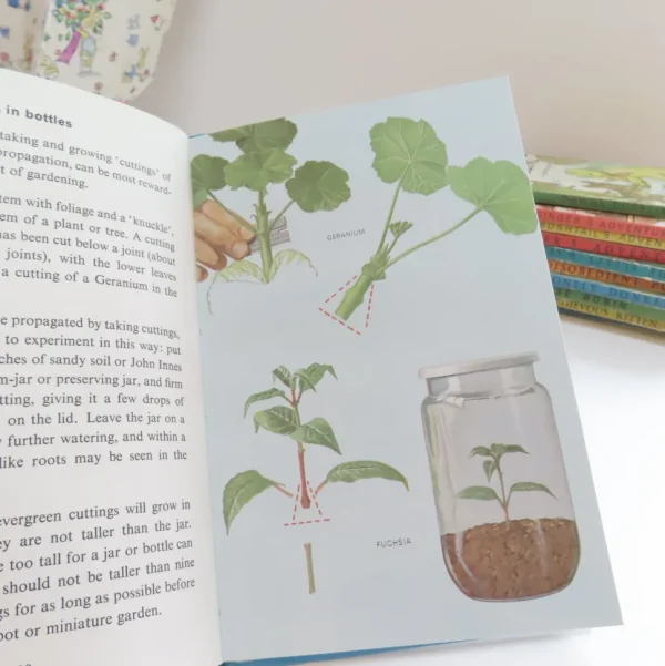 VINTAGE Ladybird book - Indoor Gardening (c.1971)