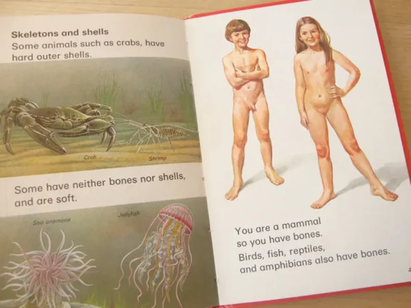 VINTAGE Ladybird book - Living Things (mid-late 1970s)