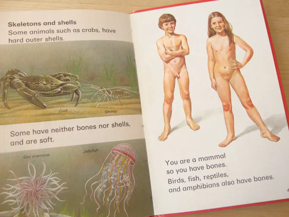 vintage_ladybird_book__li_2.webp VINTAGE Ladybird book - Living Things (mid-late 1970s)