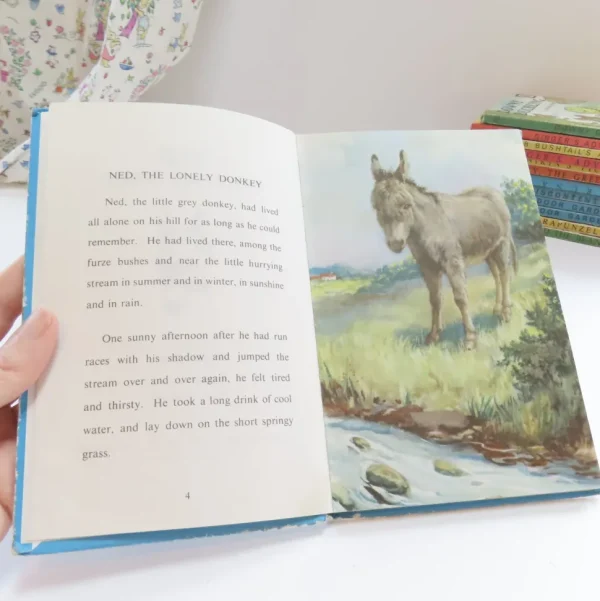VINTAGE Ladybird book - Ned the Lonely Donkey (mid 1960s)