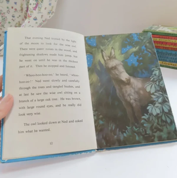 VINTAGE Ladybird book - Ned the Lonely Donkey (mid 1960s)