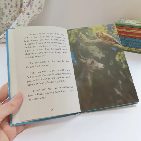 VINTAGE Ladybird book - Ned the Lonely Donkey (mid 1960s)