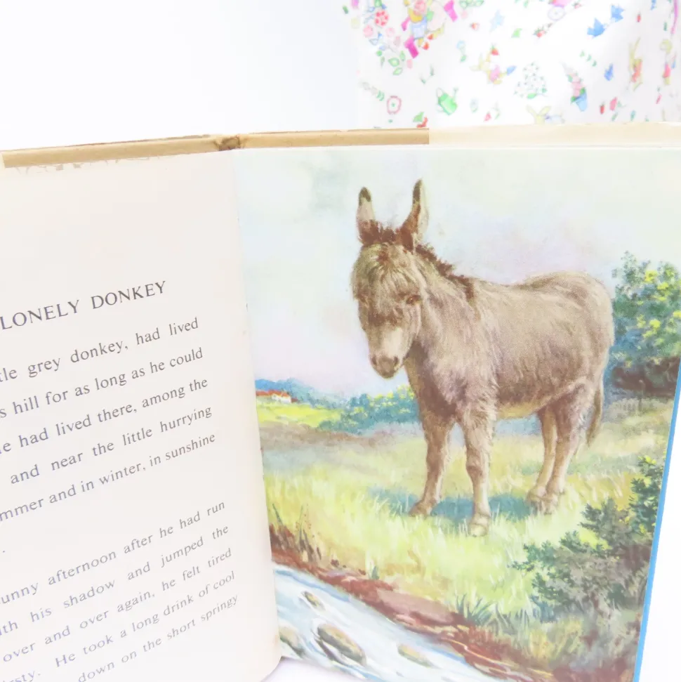 VINTAGE Ladybird book - Ned the Lonely Donkey with DJ (late 1950s)