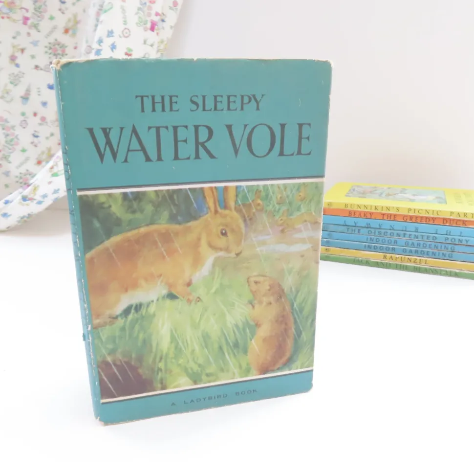 vintage_ladybird_book__th_0-1.webp VINTAGE Ladybird book - The Sleepy Water Vole with DJ (late 1950s)
