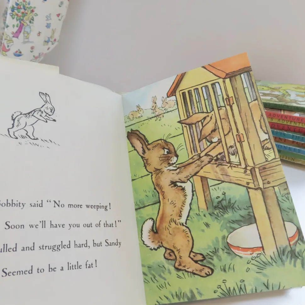 VINTAGE Ladybird book - The Runaway with DJ (late 1950s)