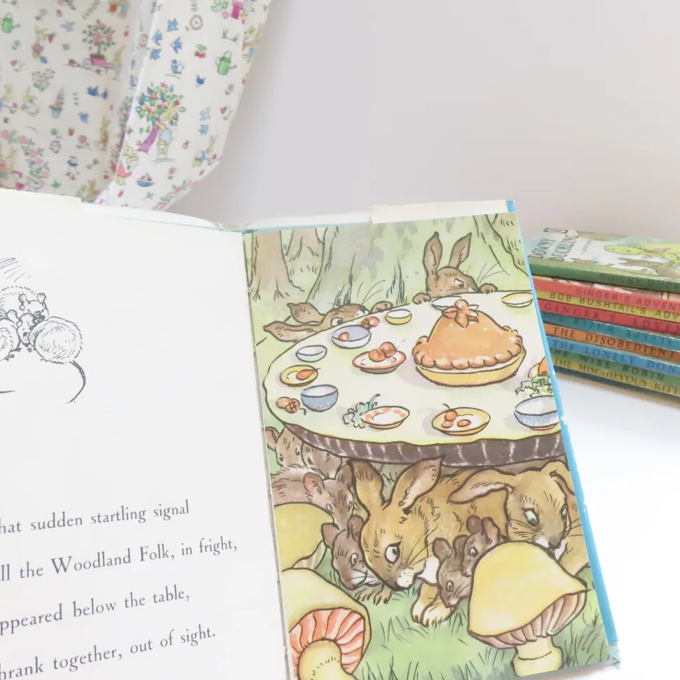 VINTAGE Ladybird book - The Runaway with DJ (late 1950s)