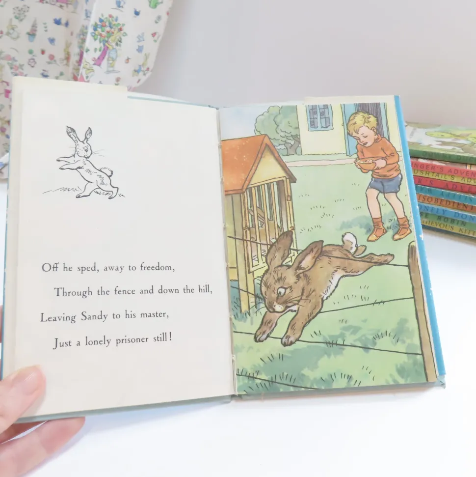 VINTAGE Ladybird book - The Runaway with DJ (late 1950s)