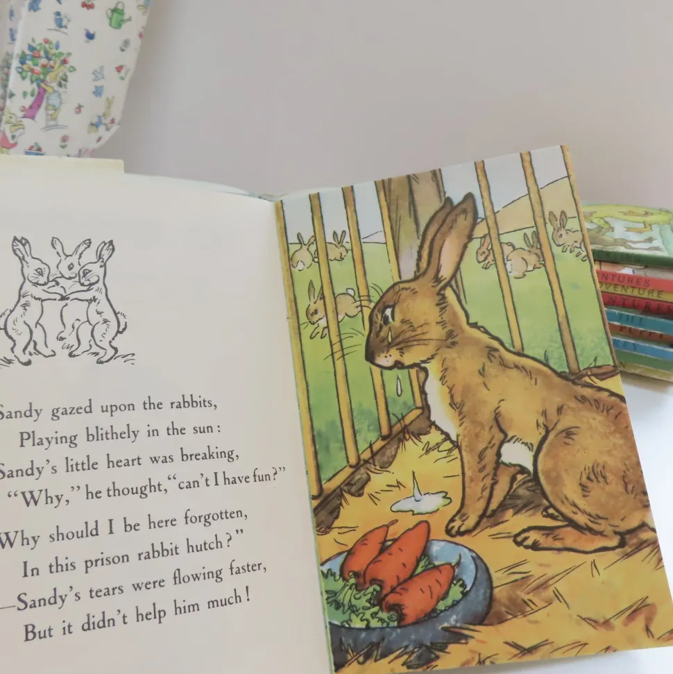 VINTAGE Ladybird book - The Runaway with DJ (late 1950s)