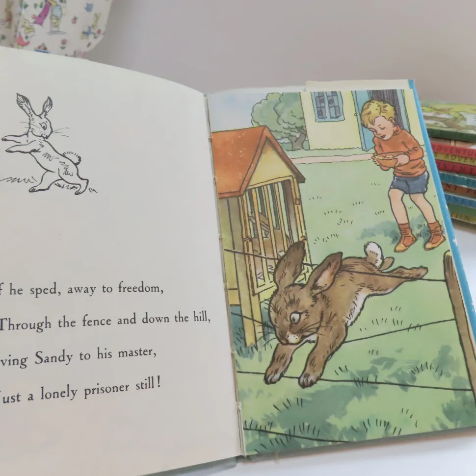 VINTAGE Ladybird book - The Runaway with DJ (late 1950s)