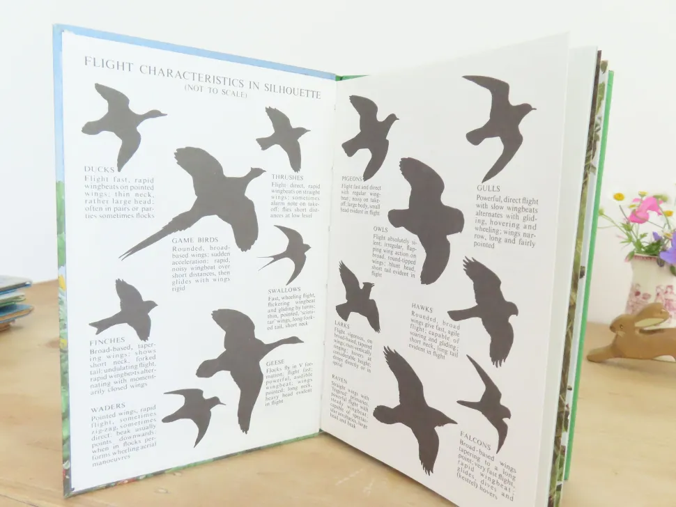 VINTAGE Ladybird book of Heath and Woodland Birds (1971)