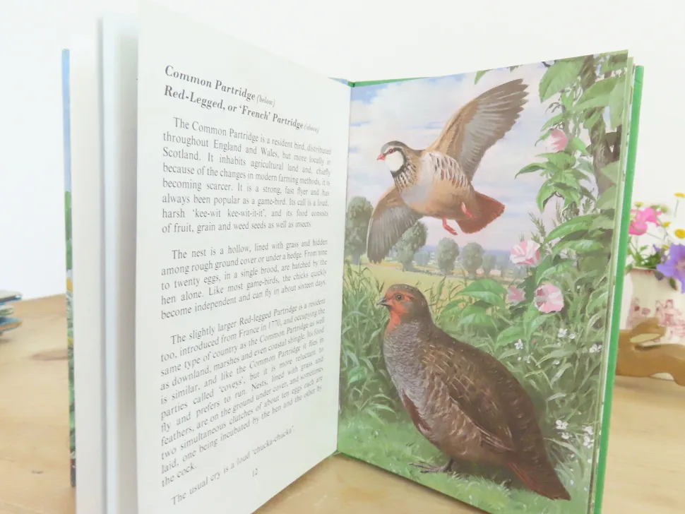 VINTAGE Ladybird book of Heath and Woodland Birds (1971)