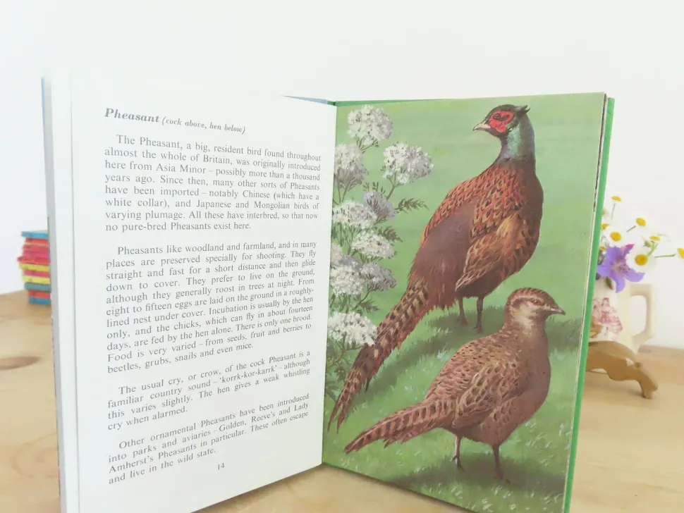 VINTAGE Ladybird book of Heath and Woodland Birds (1971)